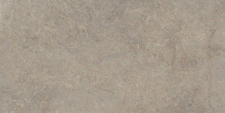  Ragno Richmond Musk 60x120 cm Vloertegel / Wandtegel Mat Vlak Strutturato RAGH | 372658