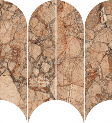  Ragno Incanto Breccia Pernice 28.1x31 cm Mozaiek Ventaglio Glanzend Vlak Naturale R9CD | 372931