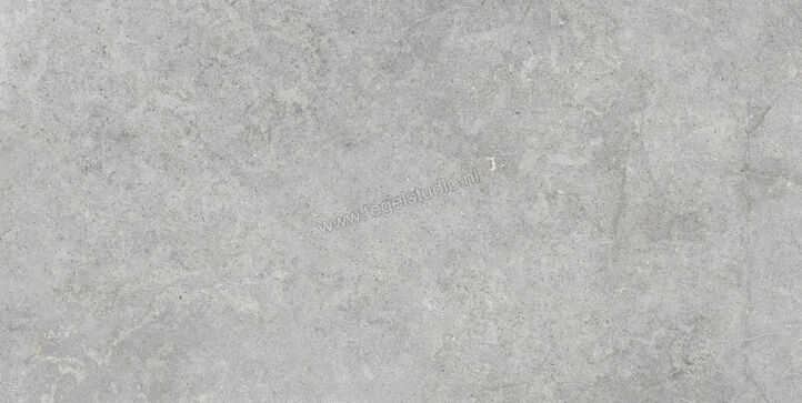  Ragno Richmond Silver 60x120 cm Vloertegel / Wandtegel Mat Vlak Naturale RAFW | 372934