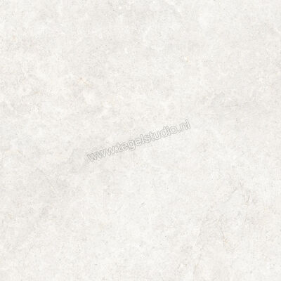  Ragno Richmond Ivory 100x100 cm Vloertegel / Wandtegel R10/B Mat Vlak Naturale RAF9 | 373207