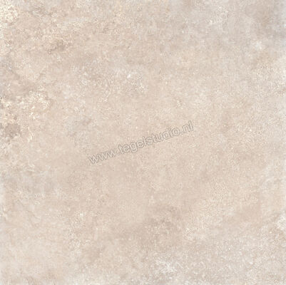  Ragno Realstone_Travertino Cross Noce 120x120 cm Vloertegel / Wandtegel Mat Vlak Naturale RC9P | 373444