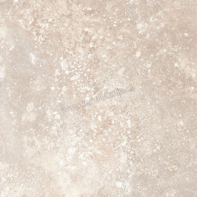  Ragno Realstone_Travertino Cross Noce 60x60 cm Vloertegel / Wandtegel Mat Vlak Naturale RCCU | 374533