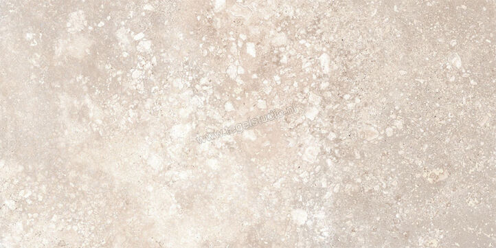  Ragno Realstone_Travertino Cross Noce 30x60 cm Vloertegel / Wandtegel Mat Vlak Strutturato RCPV | 375001