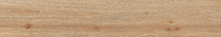  Ragno Secret Naturale 20x120 cm Vloertegel / Wandtegel Grip Mat Gestructureerd Grip RC6V | 375556