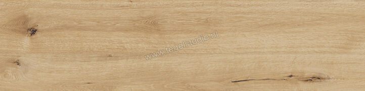  Ragno Woodtale Miele 30x120 cm Vloertegel / Wandtegel Mat Vlak Naturale R4TH | 376120