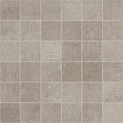  Ragno Boom Calce 30x30 cm Mozaiek 5x5 Mat Vlak Naturale R13Y | 376507