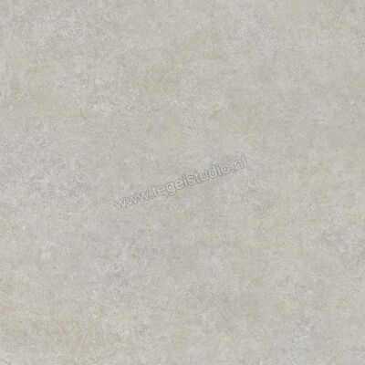  Ragno Tiempo Grigio 100x100 cm Vloertegel / Wandtegel Mat Vlak Naturale RCS4 | 377806