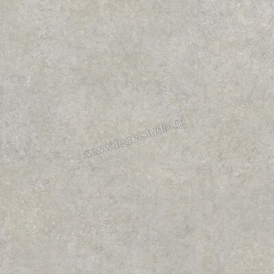  Ragno Tiempo Grigio 100x100 cm Vloertegel / Wandtegel Mat Vlak Naturale RCS4 | 377809