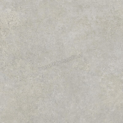  Ragno Tiempo Grigio 100x100 cm Vloertegel / Wandtegel Mat Vlak Naturale RCS4 | 377818