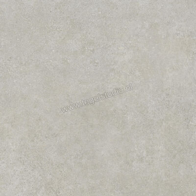  Ragno Tiempo Grigio 100x100 cm Vloertegel / Wandtegel Mat Vlak Naturale RCS4 | 377824