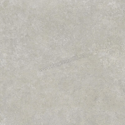  Ragno Tiempo Grigio 100x100 cm Vloertegel / Wandtegel Mat Vlak Naturale RCS4 | 377830