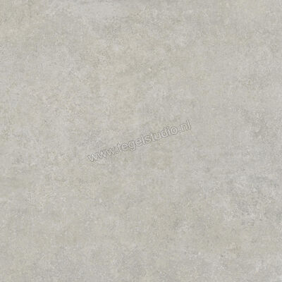  Ragno Tiempo Grigio 100x100 cm Vloertegel / Wandtegel Mat Vlak Naturale RCS4 | 377836