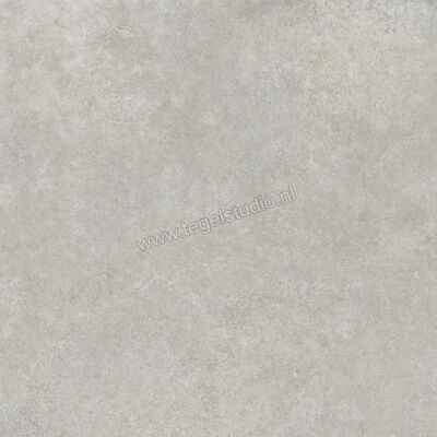  Ragno Tiempo Grigio 100x100 cm Vloertegel / Wandtegel Mat Vlak Naturale RCS4 | 377842