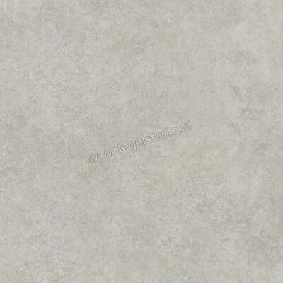  Ragno Tiempo Grigio 100x100 cm Vloertegel / Wandtegel Mat Vlak Naturale RCS4 | 377848