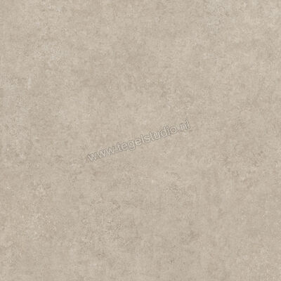  Ragno Tiempo Taupe 100x100 cm Vloertegel / Wandtegel Mat Vlak Naturale RCS5 | 377860