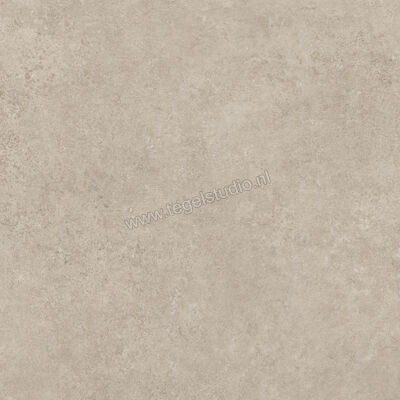  Ragno Tiempo Taupe 100x100 cm Vloertegel / Wandtegel Mat Vlak Naturale RCS5 | 377866