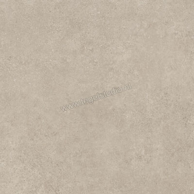  Ragno Tiempo Taupe 100x100 cm Vloertegel / Wandtegel Mat Vlak Naturale RCS5 | 377869