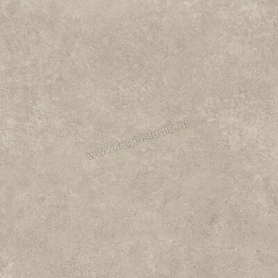  Ragno Tiempo Taupe 100x100 cm Vloertegel / Wandtegel Mat Vlak Naturale RCS5 | 377875