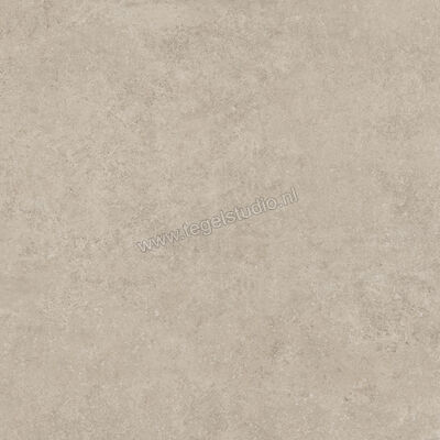  Ragno Tiempo Taupe 100x100 cm Vloertegel / Wandtegel Mat Vlak Naturale RCS5 | 377881