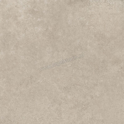  Ragno Tiempo Taupe 100x100 cm Vloertegel / Wandtegel Mat Vlak Naturale RCS5 | 377887