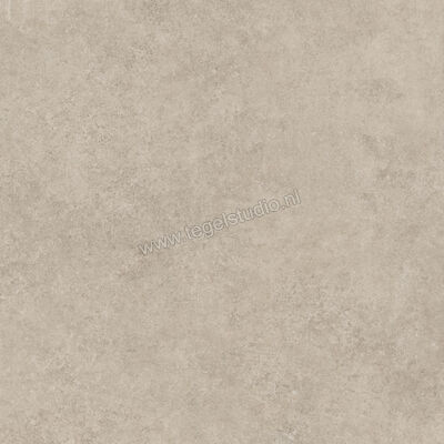  Ragno Tiempo Taupe 100x100 cm Vloertegel / Wandtegel Mat Vlak Naturale RCS5 | 377893