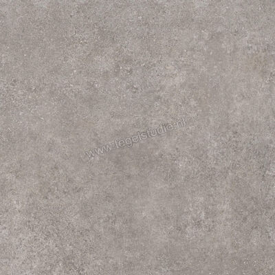  Ragno Tiempo Antracite 100x100 cm Vloertegel / Wandtegel Mat Vlak Naturale RCS7 | 377929