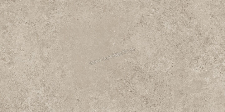  Ragno Tiempo Taupe 30x60 cm Vloertegel / Wandtegel Mat Vlak Naturale RCSG | 378112