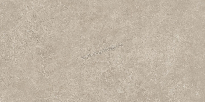  Ragno Tiempo Taupe 30x60 cm Vloertegel / Wandtegel Mat Vlak Naturale RCSG | 378115