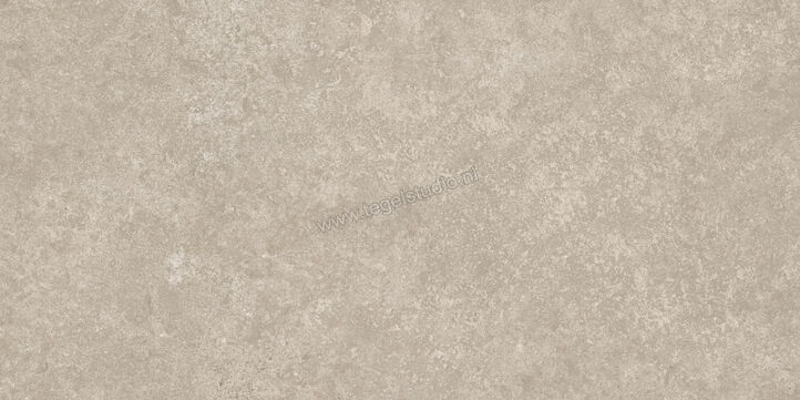  Ragno Tiempo Taupe 30x60 cm Vloertegel / Wandtegel Mat Vlak Naturale RCSG | 378118