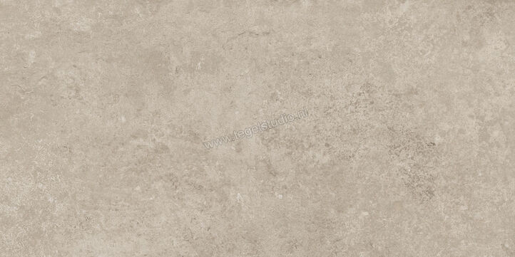  Ragno Tiempo Taupe 30x60 cm Vloertegel / Wandtegel Mat Vlak Naturale RCSG | 378124