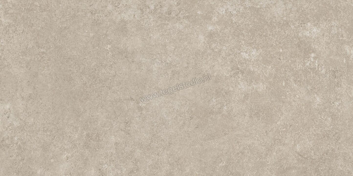  Ragno Tiempo Taupe 30x60 cm Vloertegel / Wandtegel Mat Vlak Naturale RCSG | 378127