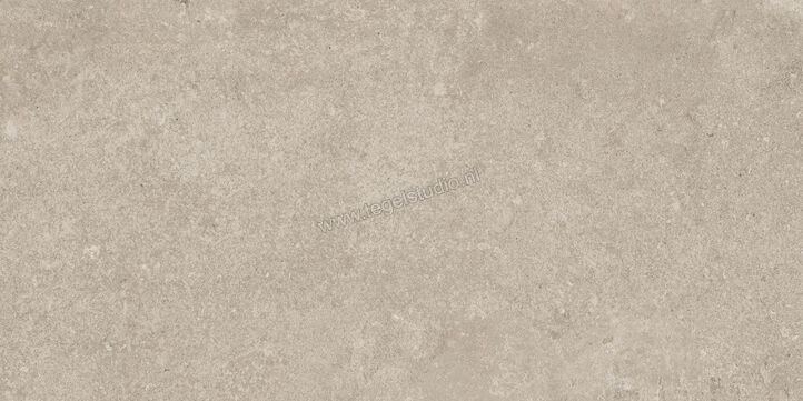  Ragno Tiempo Taupe 30x60 cm Vloertegel / Wandtegel Mat Vlak Naturale RCSG | 378130