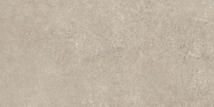  Ragno Tiempo Taupe 30x60 cm Vloertegel / Wandtegel Mat Vlak Naturale RCSG | 378133