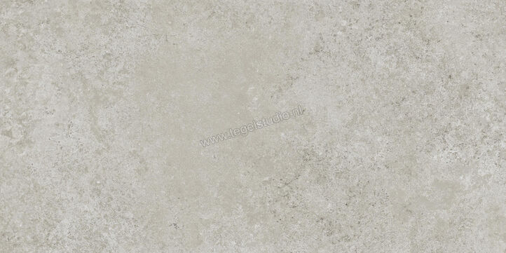  Ragno Tiempo Grigio 30x60 cm Vloertegel / Wandtegel Mat Vlak Naturale RCSH | 378136