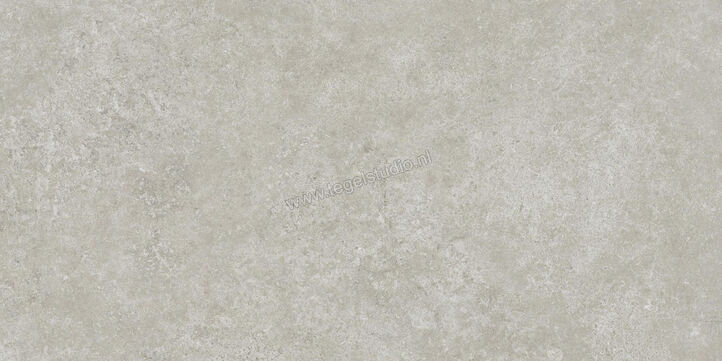  Ragno Tiempo Grigio 30x60 cm Vloertegel / Wandtegel Mat Vlak Naturale RCSH | 378139