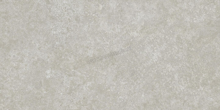  Ragno Tiempo Grigio 30x60 cm Vloertegel / Wandtegel Mat Vlak Naturale RCSH | 378142