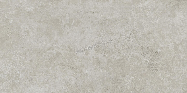  Ragno Tiempo Grigio 30x60 cm Vloertegel / Wandtegel Mat Vlak Naturale RCSH | 378148