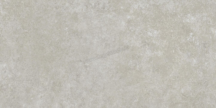  Ragno Tiempo Grigio 30x60 cm Vloertegel / Wandtegel Mat Vlak Naturale RCSH | 378151