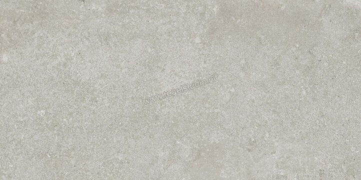  Ragno Tiempo Grigio 30x60 cm Vloertegel / Wandtegel Mat Vlak Naturale RCSH | 378154