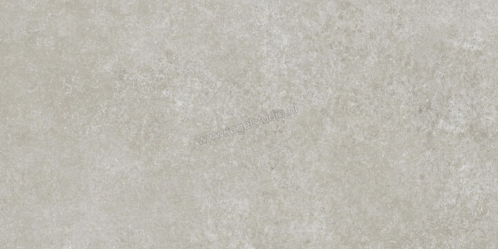  Ragno Tiempo Grigio 30x60 cm Vloertegel / Wandtegel Mat Vlak Naturale RCSH | 378157