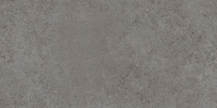  Ragno Tiempo Antracite 30x60 cm Vloertegel / Wandtegel Mat Vlak Naturale RCSJ | 378160