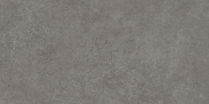  Ragno Tiempo Antracite 30x60 cm Vloertegel / Wandtegel Mat Vlak Naturale RCSJ | 378163