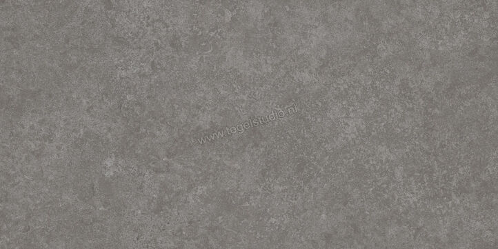  Ragno Tiempo Antracite 30x60 cm Vloertegel / Wandtegel Mat Vlak Naturale RCSJ | 378166