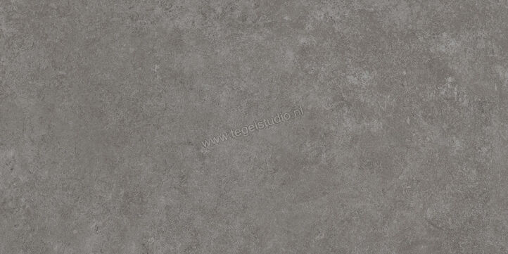  Ragno Tiempo Antracite 30x60 cm Vloertegel / Wandtegel Mat Vlak Naturale RCSJ | 378175