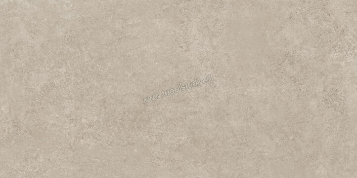  Ragno Tiempo Taupe 60x120 cm Vloertegel / Wandtegel Mat Vlak Naturale RCSQ | 378304