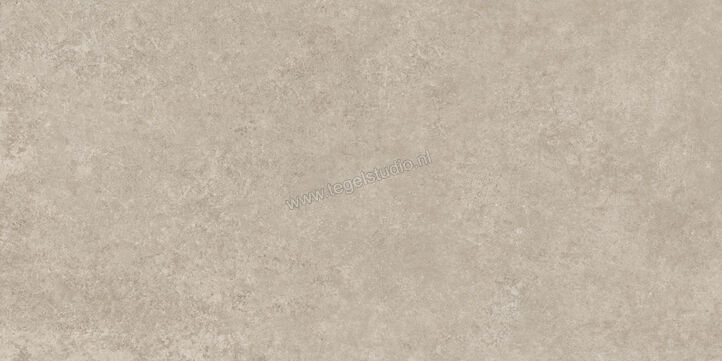  Ragno Tiempo Taupe 60x120 cm Vloertegel / Wandtegel Mat Vlak Naturale RCSQ | 378307