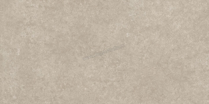  Ragno Tiempo Taupe 60x120 cm Vloertegel / Wandtegel Mat Vlak Naturale RCSQ | 378310