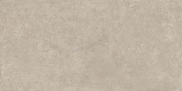  Ragno Tiempo Taupe 60x120 cm Vloertegel / Wandtegel Mat Vlak Naturale RCSQ | 378313