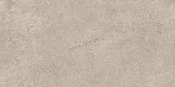  Ragno Tiempo Taupe 60x120 cm Vloertegel / Wandtegel Mat Vlak Naturale RCSQ | 378316