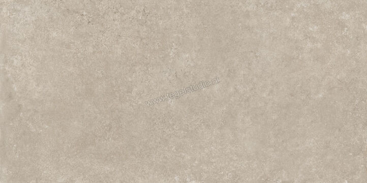  Ragno Tiempo Taupe 60x120 cm Vloertegel / Wandtegel Mat Vlak Naturale RCSQ | 378319